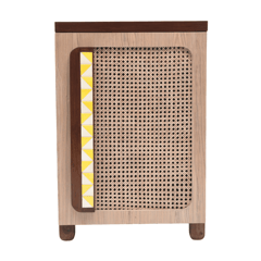 Opaque Studio-Cocoa Cane Single Door Cabinet
