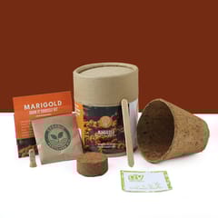bioQ Grow Pro Round grow it's yourself