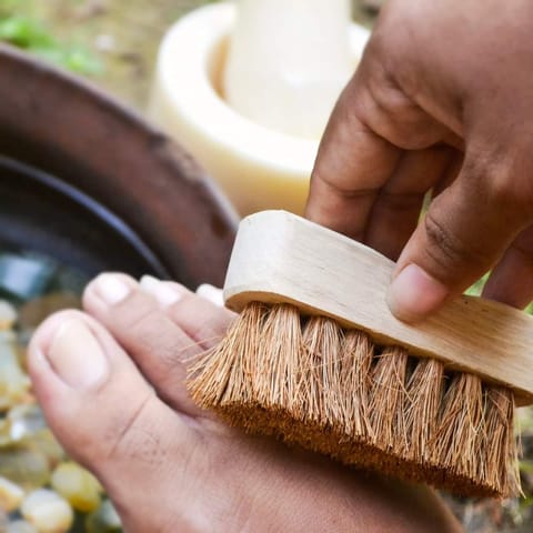 Almitra Sustainables-Coconut Coir Pedicure Brush -(Self Care)
