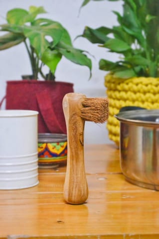 Almitra Sustainables-Coconut Fiber -Bone Brush