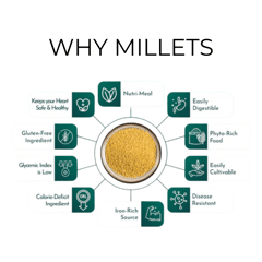 DryM Foods - Foxtail Millet Upma