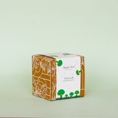 Almiro Tree Terracotta Wall Plate with Broccoli Theme for Living Room, Bedroom, Office, 20cm