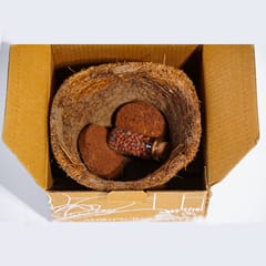 Almiro Tree Terracotta Wall Plate with Broccoli Theme for Living Room, Bedroom, Office, 20cm