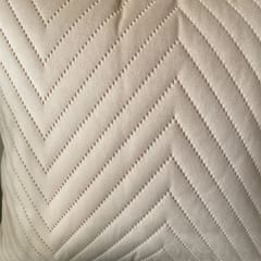 Coral Slub - Waves Velvet Cushion Covers, Sand Color, 16" x 16", Pack of 2