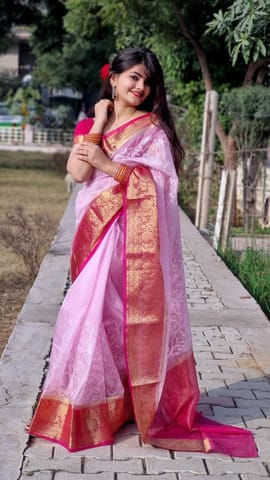 UTPALA Designs - Baby Pink Semi Organza Chikankari Benarasi Saree