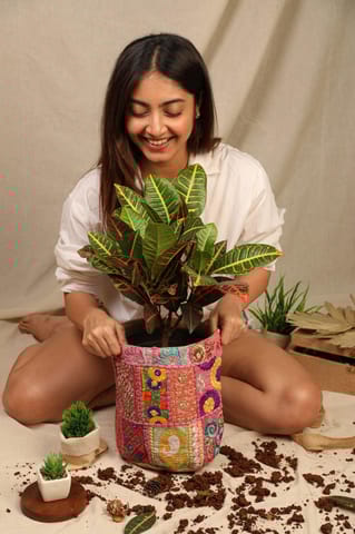 Ayuda Homes - Carmine Pink Pot Cover (Medium)