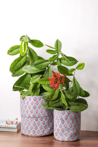 Ayuda Homes - Aparajita Pot Cover (Small)