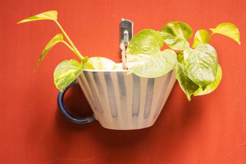Earthan - Budding Bloom Wall Hanging Planter