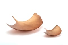 Studio Trataka - Ginkgo Leaf Platter - Small