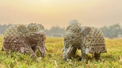 Project Virasat - Gaurahari Elephant