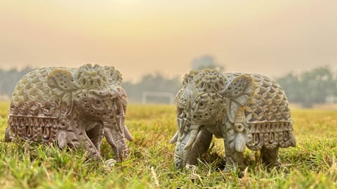Project Virasat - Gaurahari Elephant