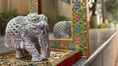 Project Virasat - Gaurahari Elephant